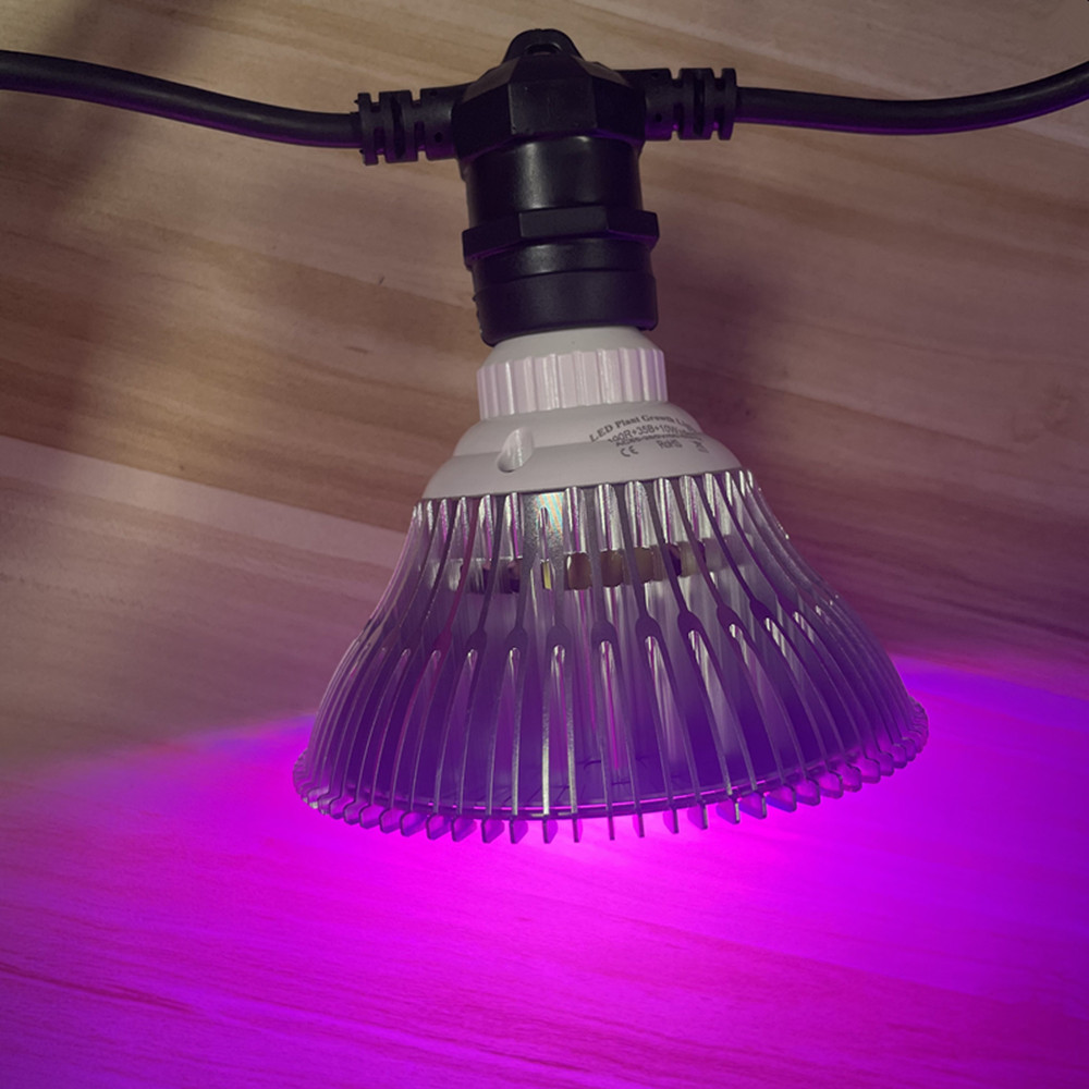10M Cable LED String Commercia - Outdoor Lighting Effects review and price